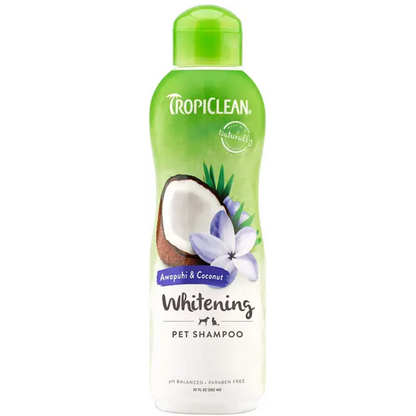 Tropiclean Oxymed Shampoo Coco Awapuhi  592Ml