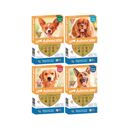 Advocate Perro 4 - 10 kg (1.0ml)