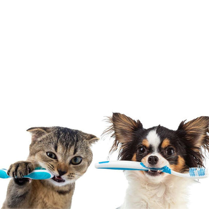Salud dental Veterinaria Online
