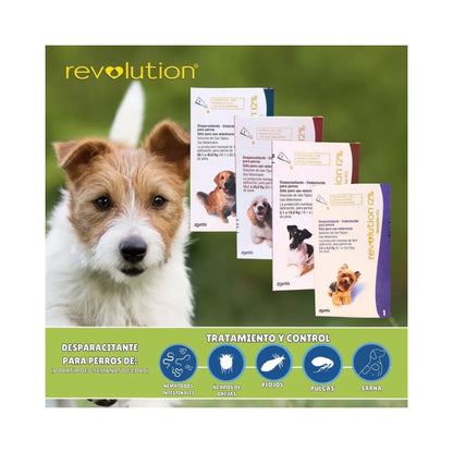 Revolution Perro 12% 2.5 - 5 kg (0.25ml)