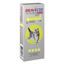 Bravecto Plus Gato 1.2 - 2.8 kg (112.5 mg)