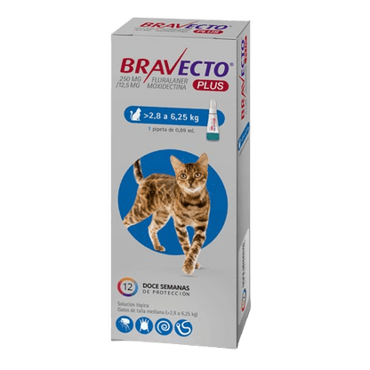 Bravecto Plus Gato 2.8 - 6.25 kg (250 mg)