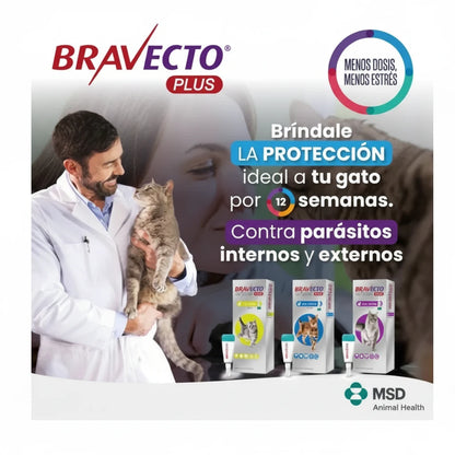 Pack 4x Bravecto Plus Gato 2.8 - 6.25 kg (250mg)