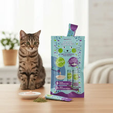 Cats Snack Cremoso Salmón con Matatabi 15 g