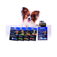 Fiprodrag  Perro 20 - 40 kg