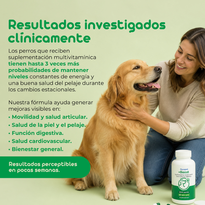 Flowpet + Boost Suplemento para Perros 60 Cápsulas