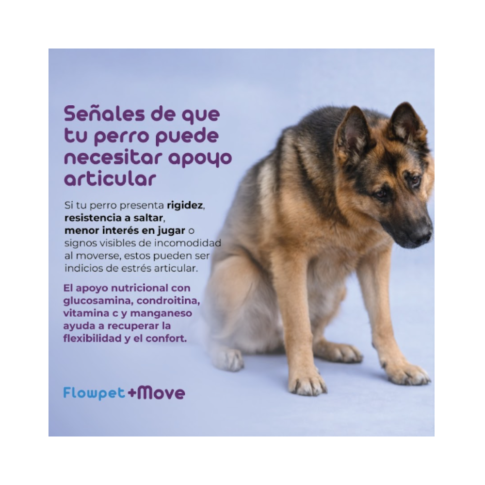Flowpet + Move Suplemento Perro 60 Capsulas