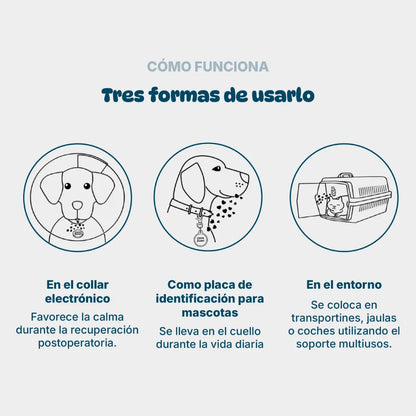 Kruuse Botón CalmDown Perro Kit Tag 1 Botón