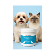 Maxiguard Toallitas de Limpieza Dental 100 Unidades