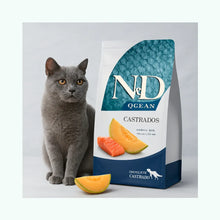 N&D Ocean Felino Salmon & Melon Castrados 1,5 kg