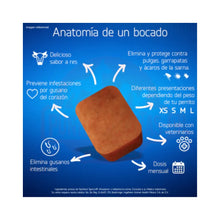 Pack 2x Nexgard Spectra 7.6 - 15 kg (3 Comprimidos)