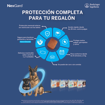 Nexgard Perros 2 - 4 kg