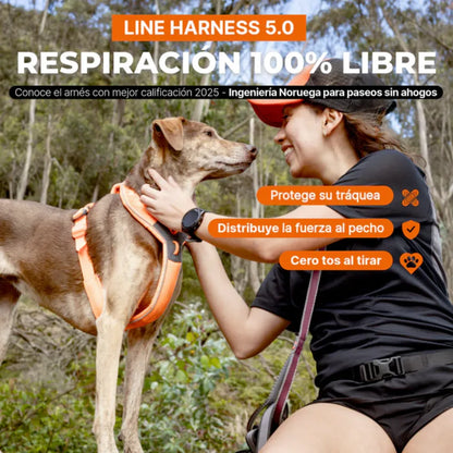 Non-Stop Dogwear Line Harness 5.0 Rachel Pohl Edition Morado/Rosado Talla 4