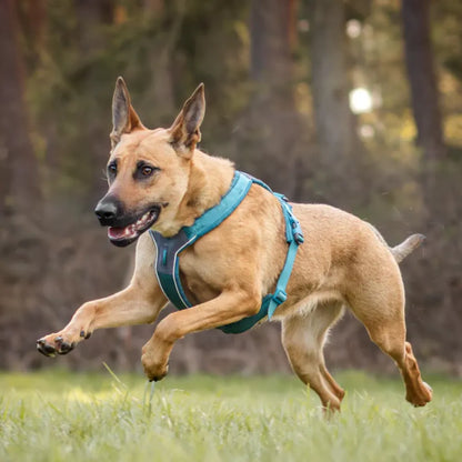 Non-Stop Dogwear Line Harness 5.0 Verde Talla 5