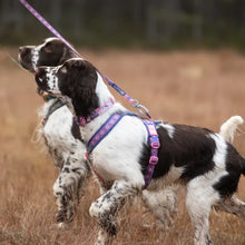 Non-Stop Dogwear Line Harness 5.0 Rachel Pohl Edition Morado/Rosado Talla 4