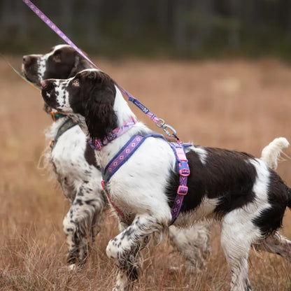 Non-Stop Dogwear Line Harness 5.0 Rachel Pohl Edition Morado/Rosado Talla 4