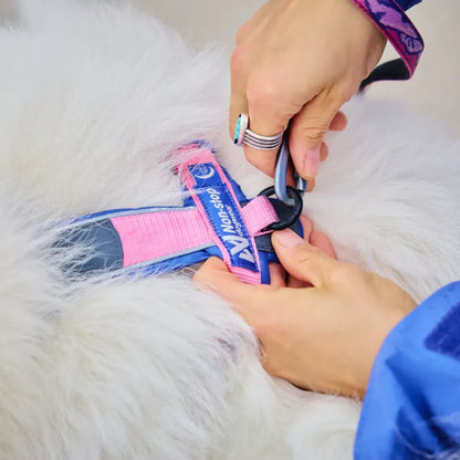 Non-Stop Dogwear Line Harness 5.0 Rachel Pohl Edition Morado/Rosado Talla 4