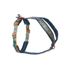 Non-Stop Dogwear Line Harness 5.0 Rachel Pohl Edition Verde/Naranjo Talla 5