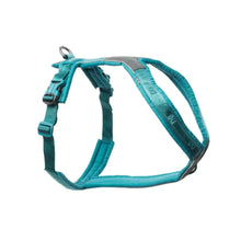 Non-Stop Dogwear Line Harness 5.0 Turquesa Talla 5