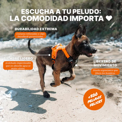 Non-Stop Dogwear Ramble Harness Verde Talla S
