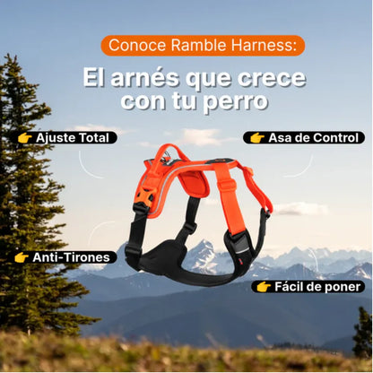 Non-Stop Dogwear Ramble Harness Verde Talla S