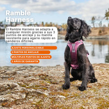 Non-Stop Dogwear Ramble Harness Verde Talla S