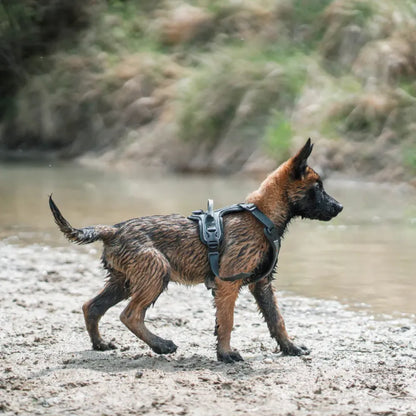 Non-Stop Dogwear Ramble Harness Verde Talla S