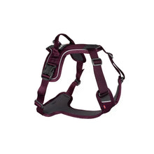 Non-Stop Dogwear Ramble Harness Morado Talla L