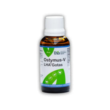 Ostymus-V LHA Gotas 30 ml