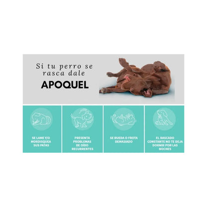 Pack 3 Unidades Apoquel 5,4 mg