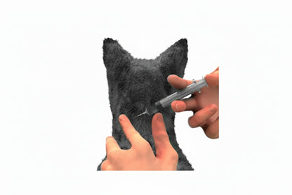 Pack 6x Nexgard Combo Gato 2.5 - 7.5 kg
