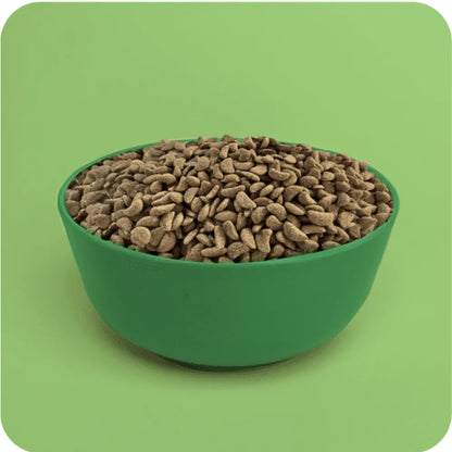 Plenty Perro Adulto Pollo 10 kg