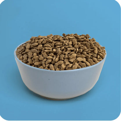 Plenty Perro Adulto Salmón 3 kg