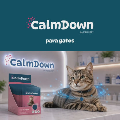 Kruuse CalmDown Gato Kit Tag 1 Botón