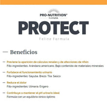 Protect Gato Urinary 8 kg