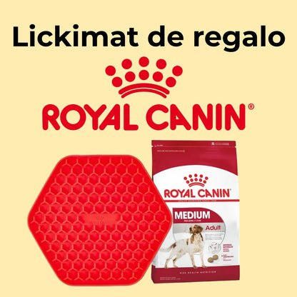 Regalo LickiMat Royal Canin