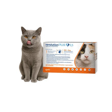 Revolution Plus Gato 2.5 - 5 kg (0.5 ml)
