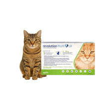 Revolution Plus Gato 5 - 10 kg (1ml)