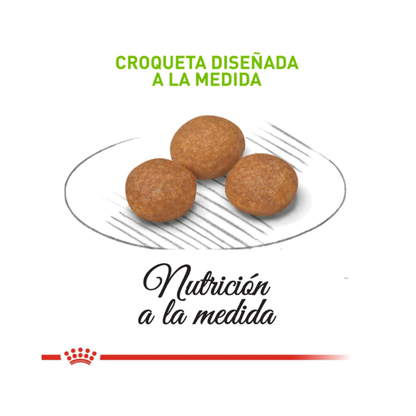 Royal Canin Adulto X-Small 2.5 kg
