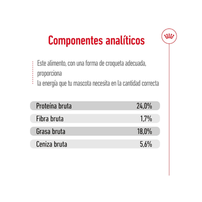 Royal Canin Adulto X-Small 2.5 kg