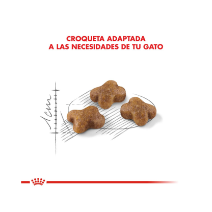 Royal Canin Kitten 1.5 kg