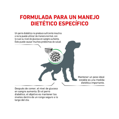 Royal Canin Perro Diabetic 10.1 kg