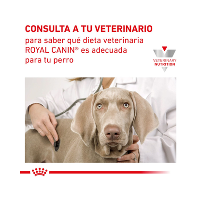 Royal Canin Perro Renal 10.1 kg