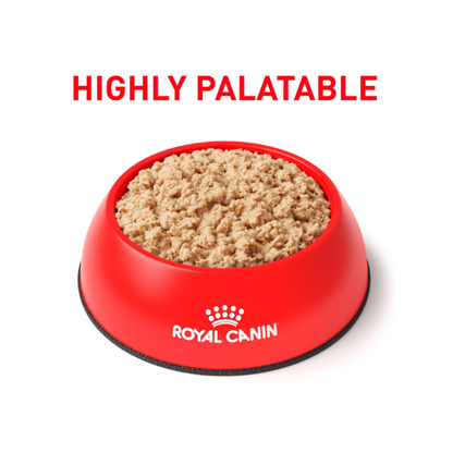 Royal Canin Perros y Gatos Recovery Lata 145 g
