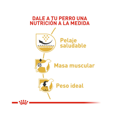 Royal Canin Pug Adulto 2.5 kg