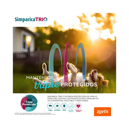 Simparica Trio (5 a 10 kg) en 1 comprimido