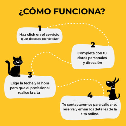 Consulta General Veterinaria Online