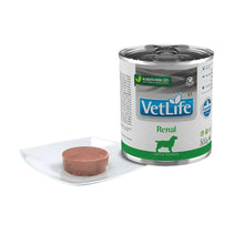 Vet Life Lata Perro Renal 300 g